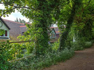 Best Western Andover Hotel