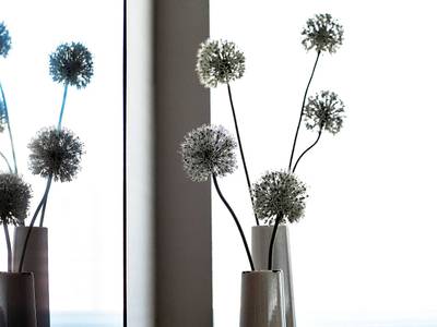 Pullman Toulouse Centre Ramblas