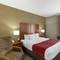 Comfort Inn & Suites Rapid City