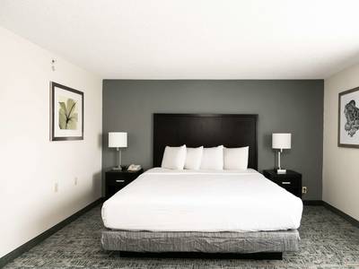 Comfort Inn & Suites San Diego - Zoo SeaWorld Area