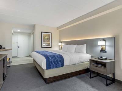 Comfort Inn Washington Dulles International