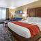 Comfort Inn Dyersville