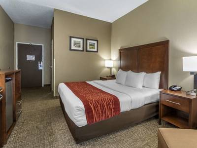Comfort Inn South