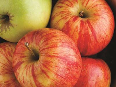 La Quinta Inn & Suites