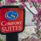 Comfort Suites Monroeville