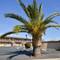 Americas Best Value Inn Los Banos