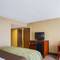 Comfort Inn Baton Rouge