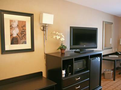 Hampton Inn & Suites Chicago - St. Charles (Foto)
