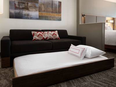 SpringHill Suites Seattle South Renton