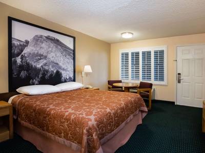 Super 8 Motel - Lindsay Olive Tree