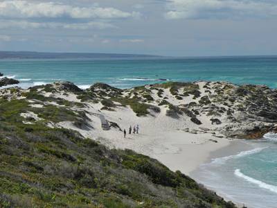 De Hoop Collection