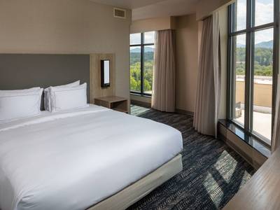 Hilton Asheville Biltmore Park