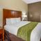 Comfort Inn & Suites North Aurora Naperville