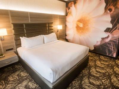 Wild Horse Pass Hotel & Casino