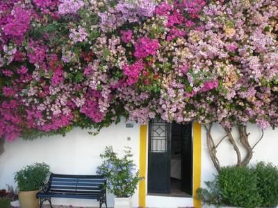 Rio Arade Algarve Manor House