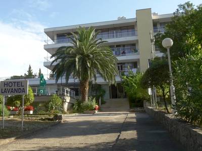 Lavanda Starigrad