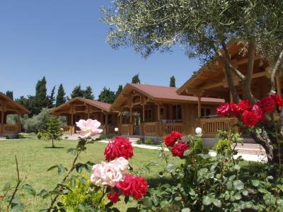 Sandy´s Studios & Log Villas