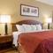 Country Inn & Suites by Radisson, Saginaw, MI