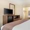 Quality Inn Tysons Corner