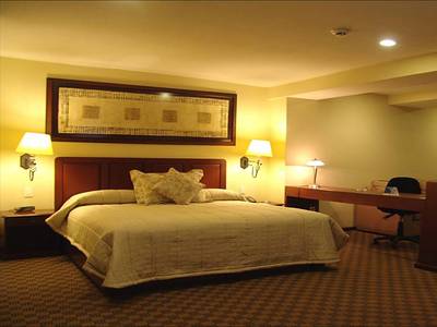 Holiday Inn & Suites Zona Rosa