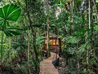 Daintree Wilderness Lodge