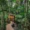Daintree Wilderness Lodge