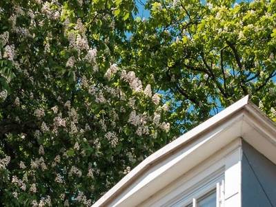 Hotel Knudsens Gaard