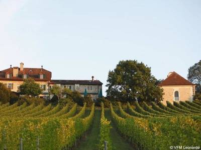 Domaine De Chateauvieux