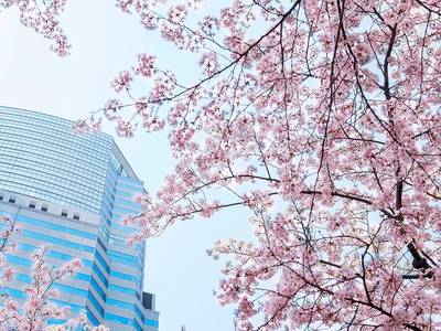 The Strings by InterContinental Tokyo