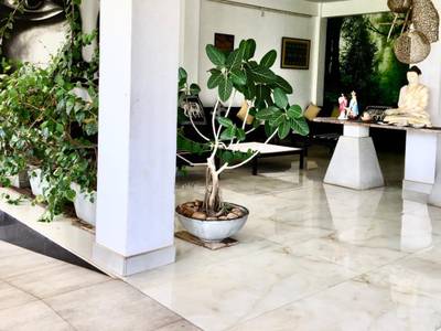 Cinnamon Sea Health Care