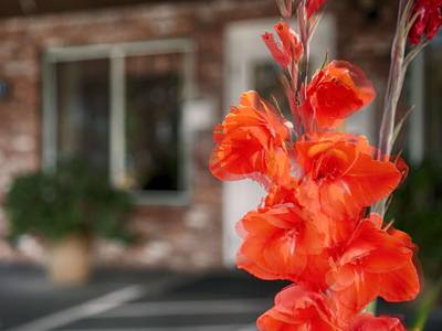 Best Western Vista Manor Lodge