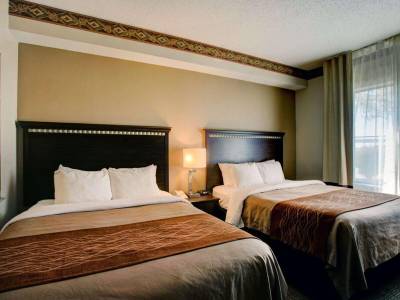 Comfort Inn & Suites - Seguin