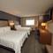 Holiday Inn & Suites Chicago-Carol Stream (Wheaton)