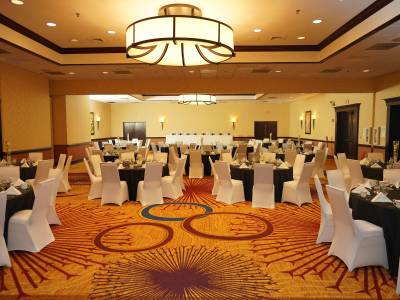 Holiday Inn & Suites Chicago-Carol Stream (Wheaton)