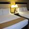 Holiday Inn Express Chicago - Schaumburg
