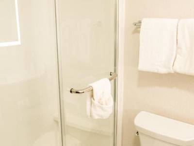 Holiday Inn Express & Suites Knoxville-North-I-75 Exit 112