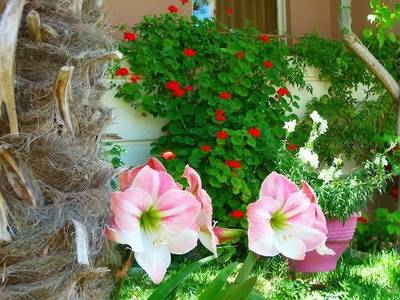 Sun Rise Hotel Apartments Ξενοδοχείο