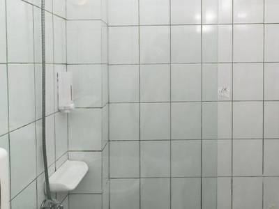 Olive Tree Apartments