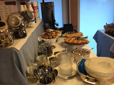 Shelley E Delle Palme