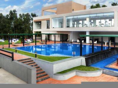 Fortune Select Trinity (Foto)