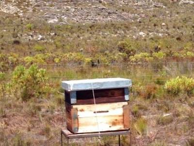 Baleia de Hermanus Guest Lodge