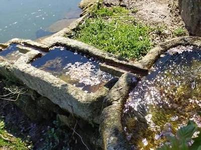 Quinta de Santa Comba