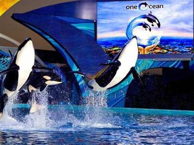 Residence Inn  San Antonio Airport