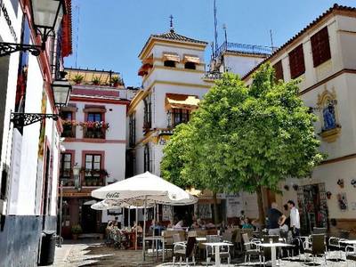 Casual Don Juan Tenorio Sevilla 