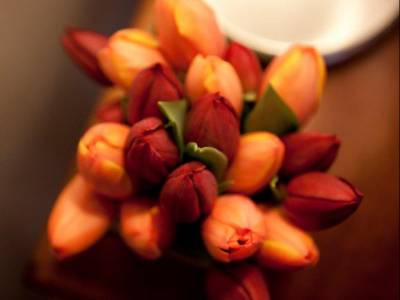 The Ansonia on Lydiard