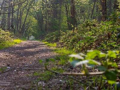 Le Relais de Montigny