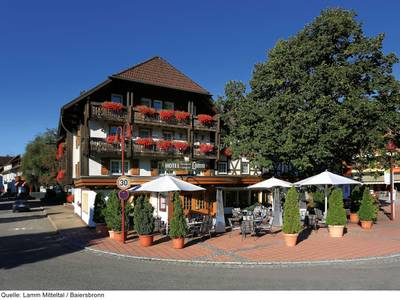 Hotel Lamm Mitteltal