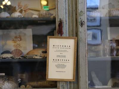 Ashland Springs Hotel