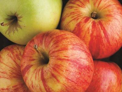 La Quinta Inn & Suites San Antonio The Dominion