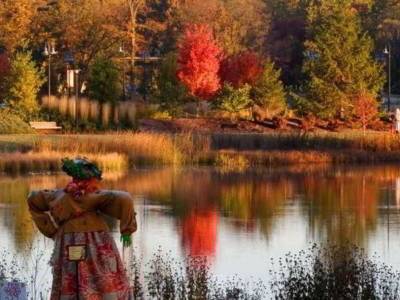 TownePlace Suites Chicago Lombard